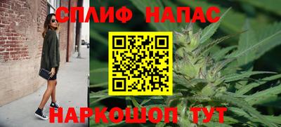 шишки Татарск