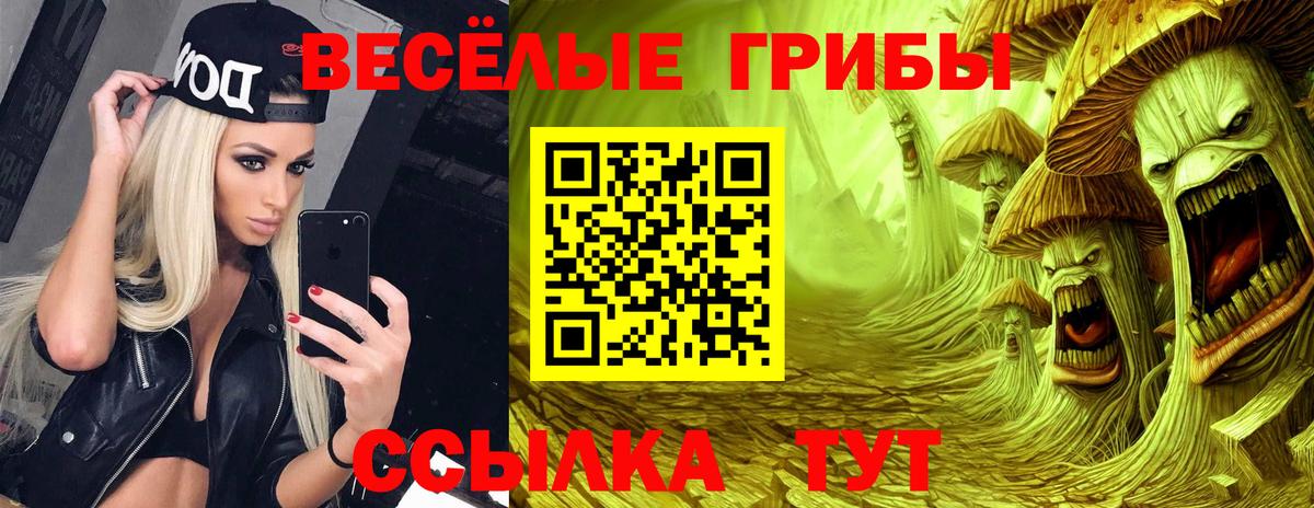 Галлюциногенные грибы GOLDEN TEACHER  Вход с VPN  наркотики  Астрахань 